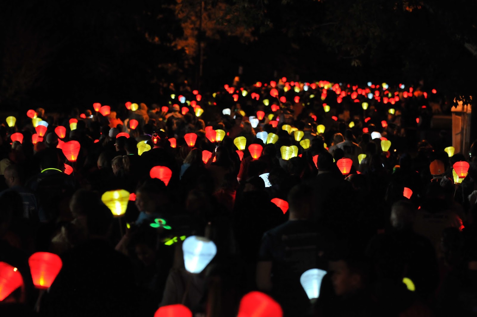 Image result for Light the Night Walk houston