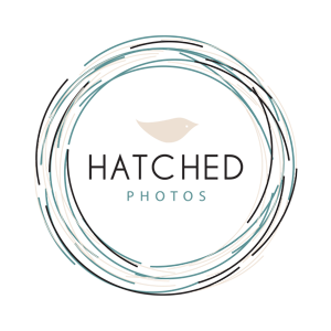 Hatched Photography: Austin Newborn & Family Photographer