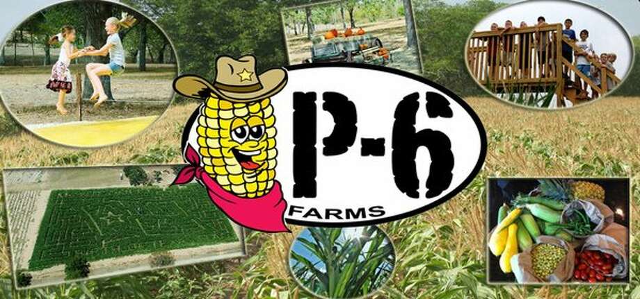 Image result for p-6 farms