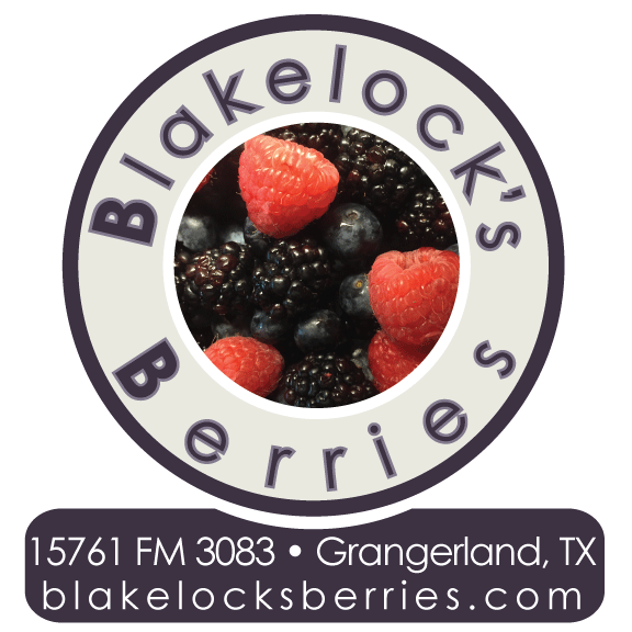 Image result for blakelock's berries