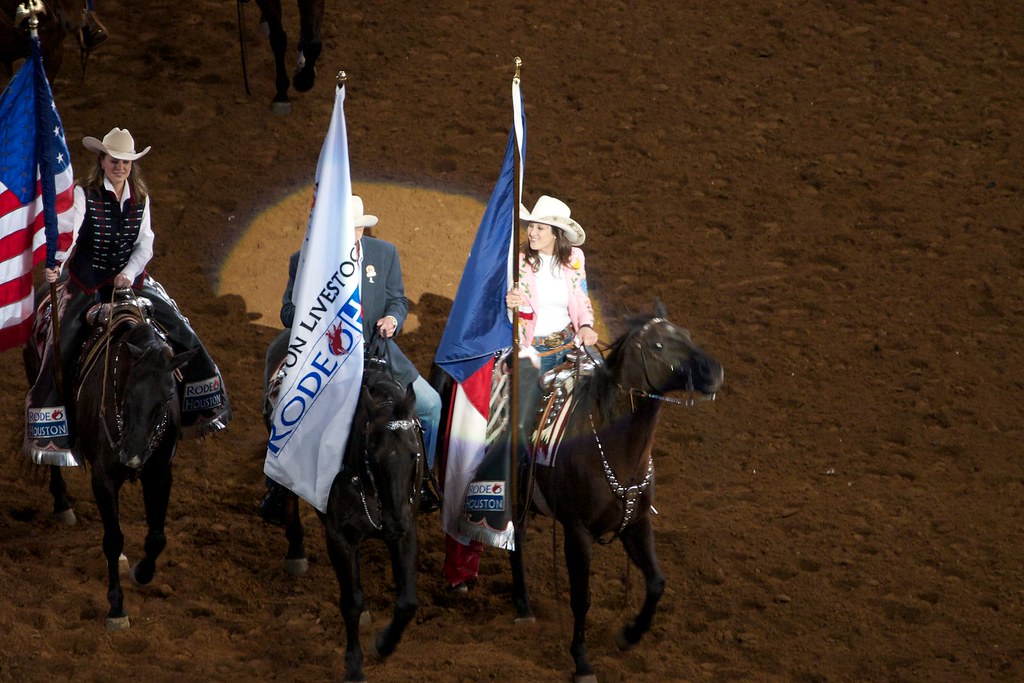 Image result for Houston Rodeo & Livestock Show