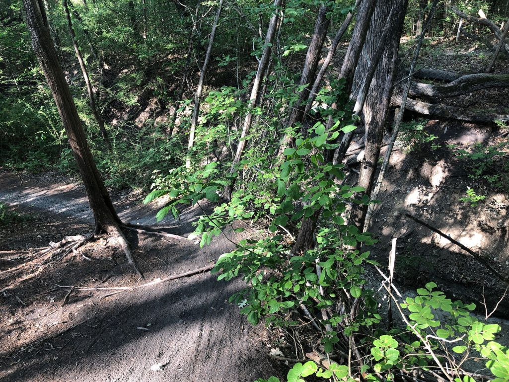 Boulder Park Trail
